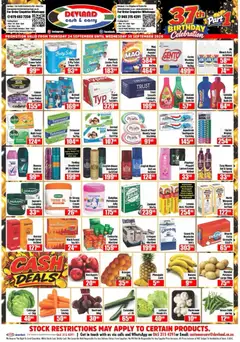 Devland specials catalogue – valid from 24/09/2026 | Page: 2 | Products: Powder, Pineapple, Cream, Syrup
