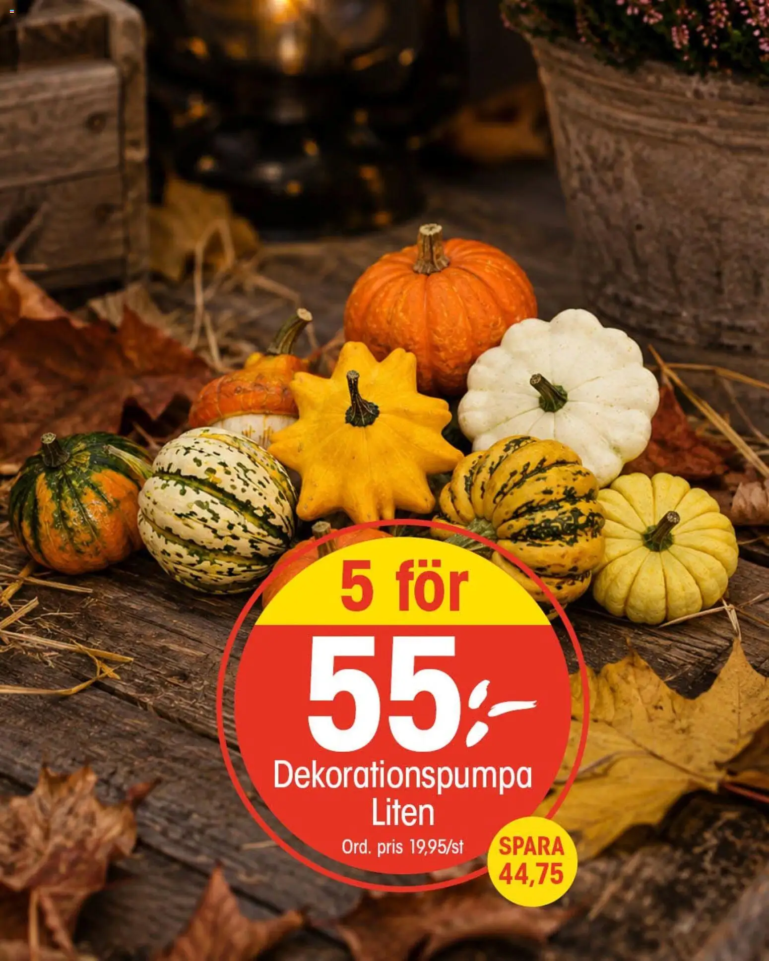 EKO reklamblad aktuell från 21/09/2026 | Sida: 9