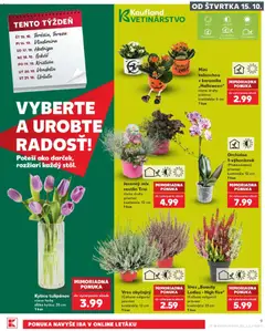 Kaufland leták platný od 15.10.2026 | Strana: 9