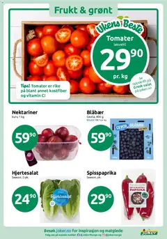 Forhåndsvisning av Nektariner, kurv, 1 kg gyldig fra 28.04.2026 | Side: 3
