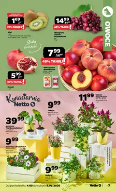 Pogląd oferty "Netto gazetka od poniedziałku spożywcza" - ważna od 04.05.2026 | Strona: 7