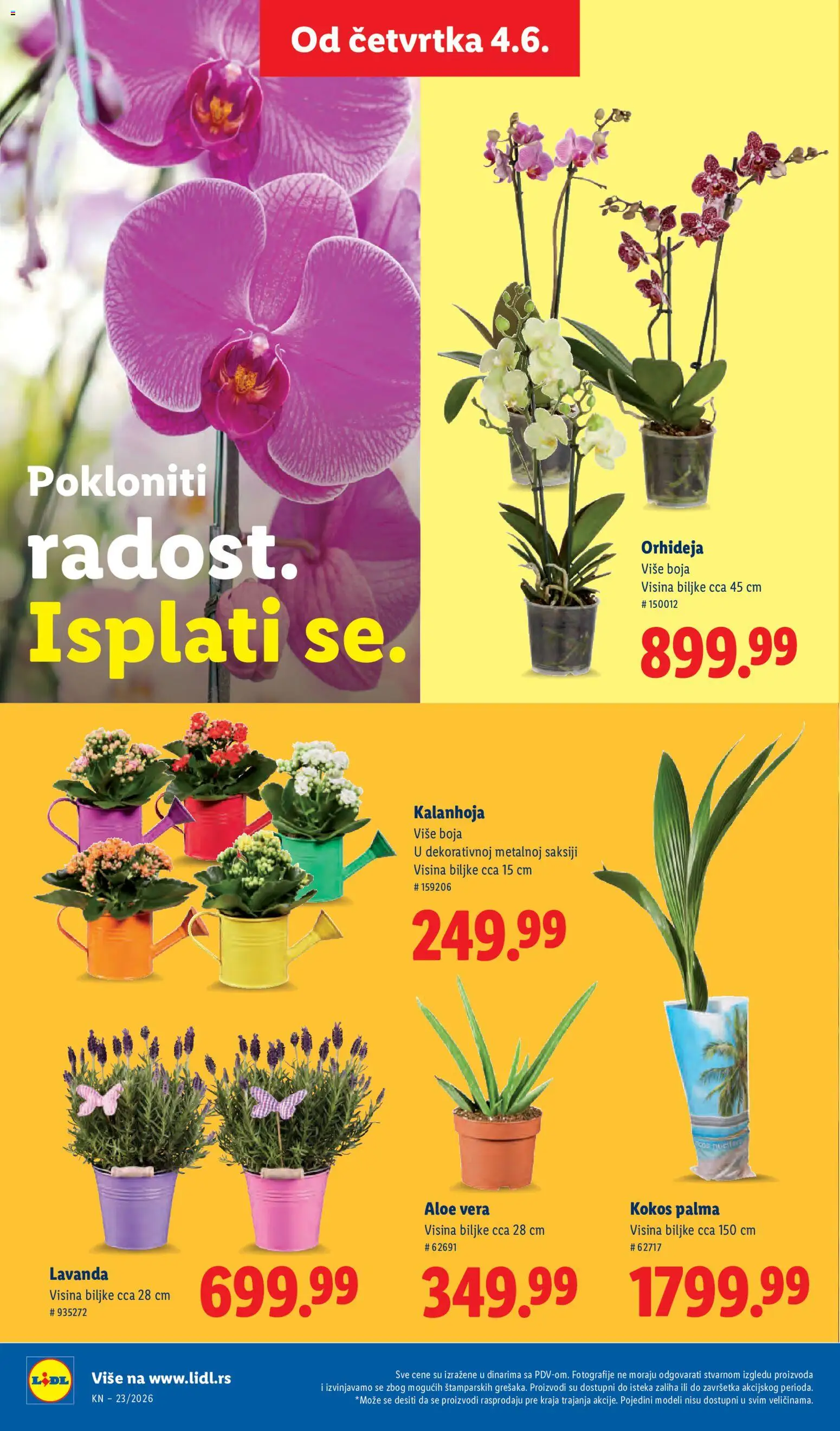 Lidl katalog - važi od 04.06.2026 | Strana: 70