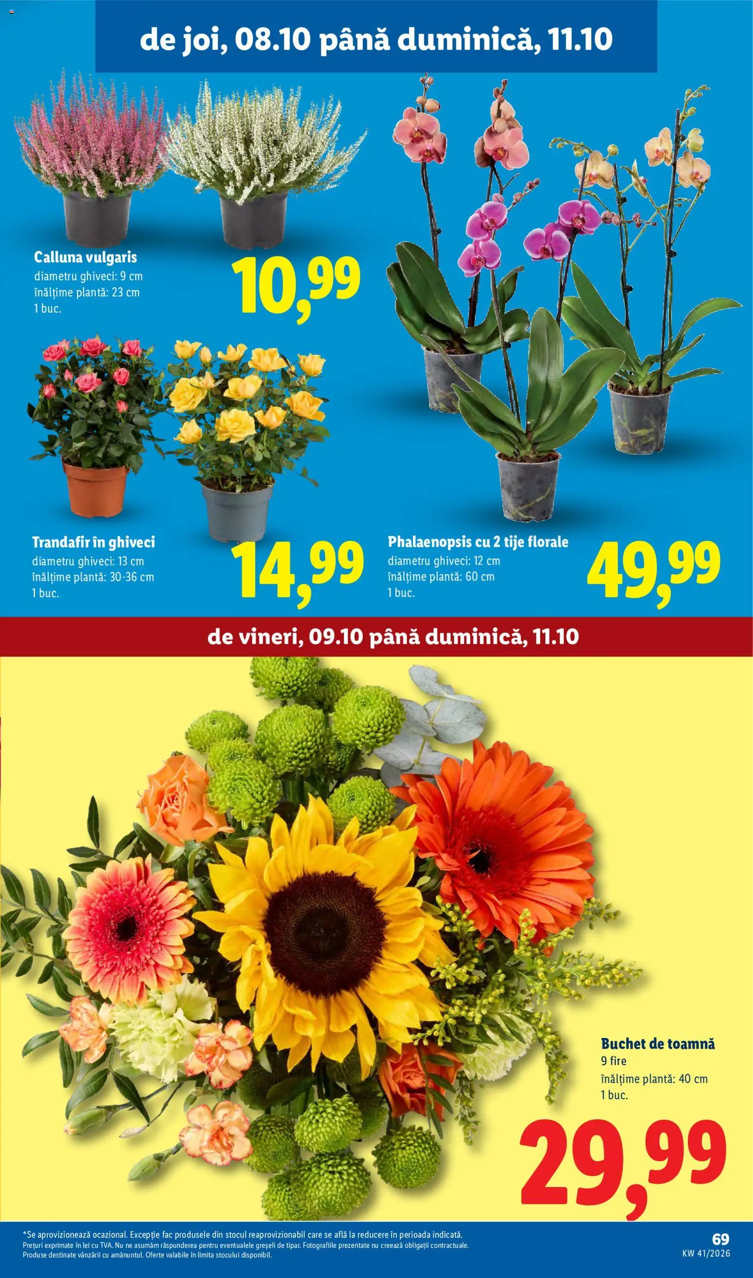 Noul catalog Lidl – valabil de la 05.10.2026 | Pagină: 69