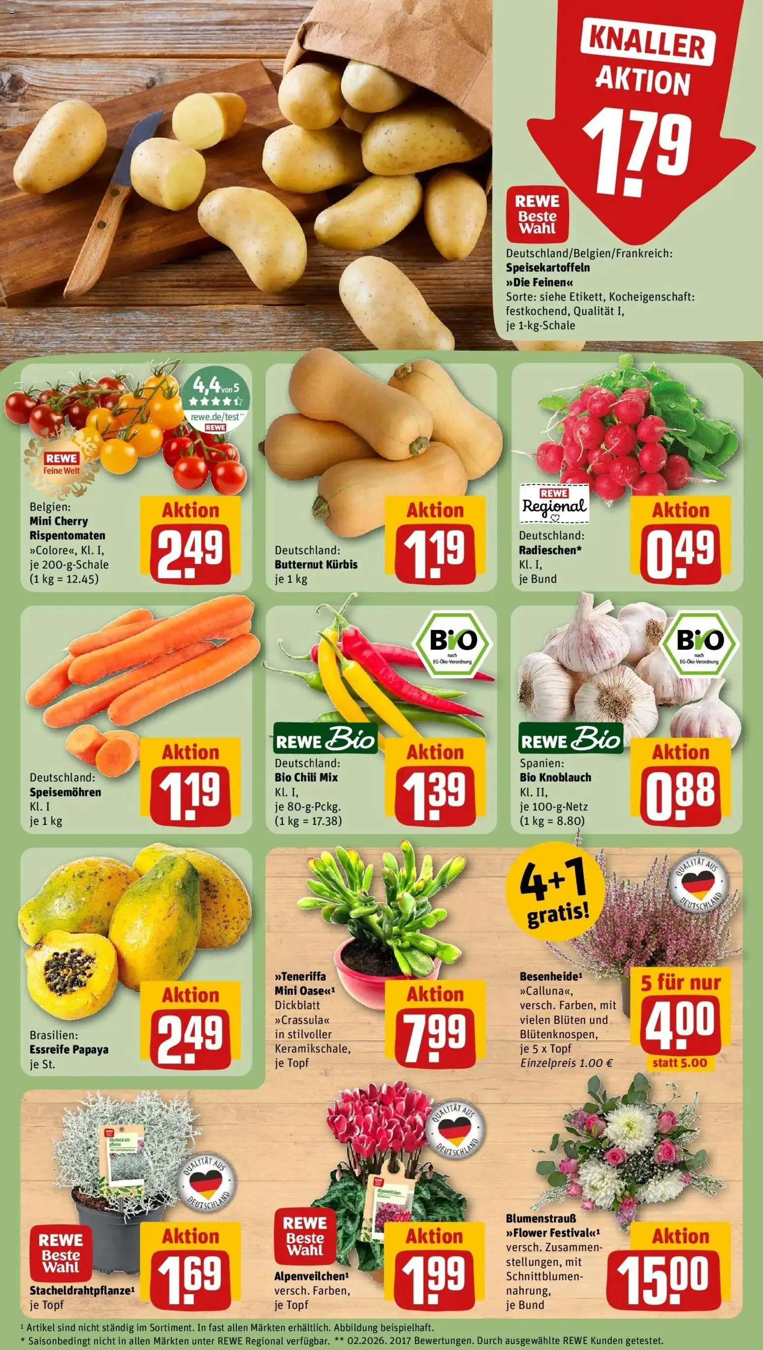 REWE Prospekt ab 05.10.2026 zum Blättern » Angebote | Seite: 9 | Produkte: Knoblauch, Chili, Kürbis