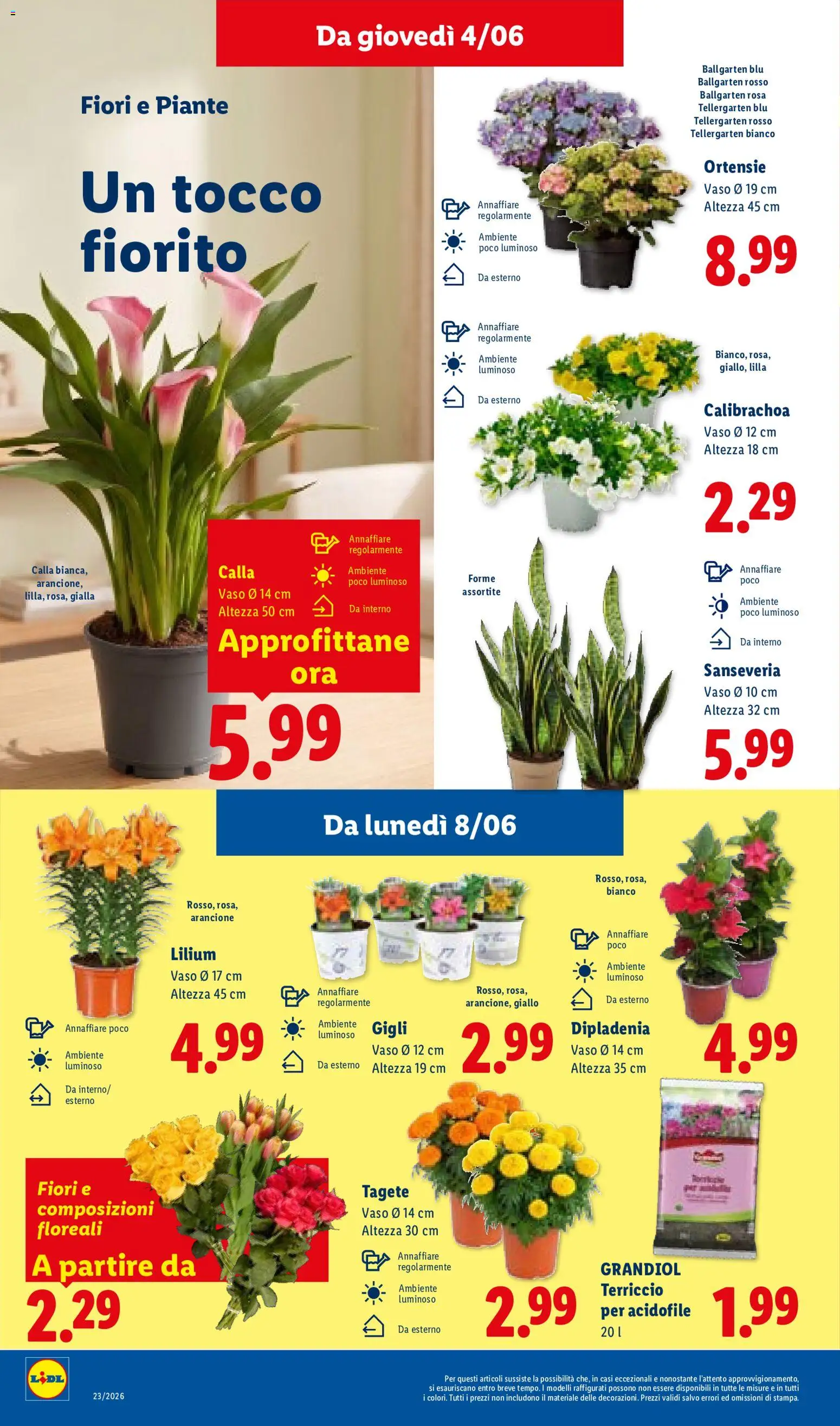 Volantino Lidl del 04.06.2026 | Pagina: 32