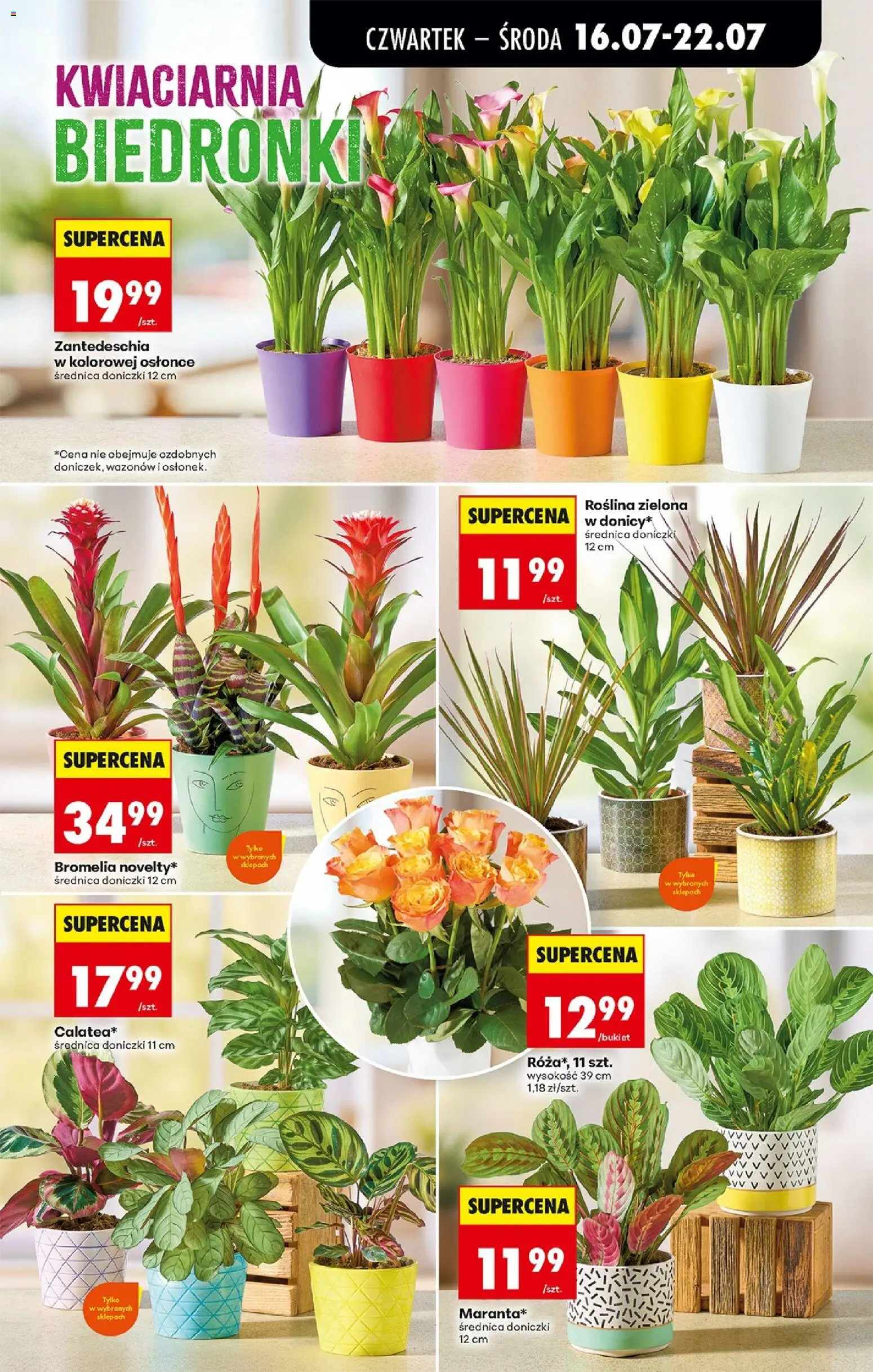 Biedronka gazetka od czwartku od 16.07.2026 | Strona: 73 | Produkty: Doniczki