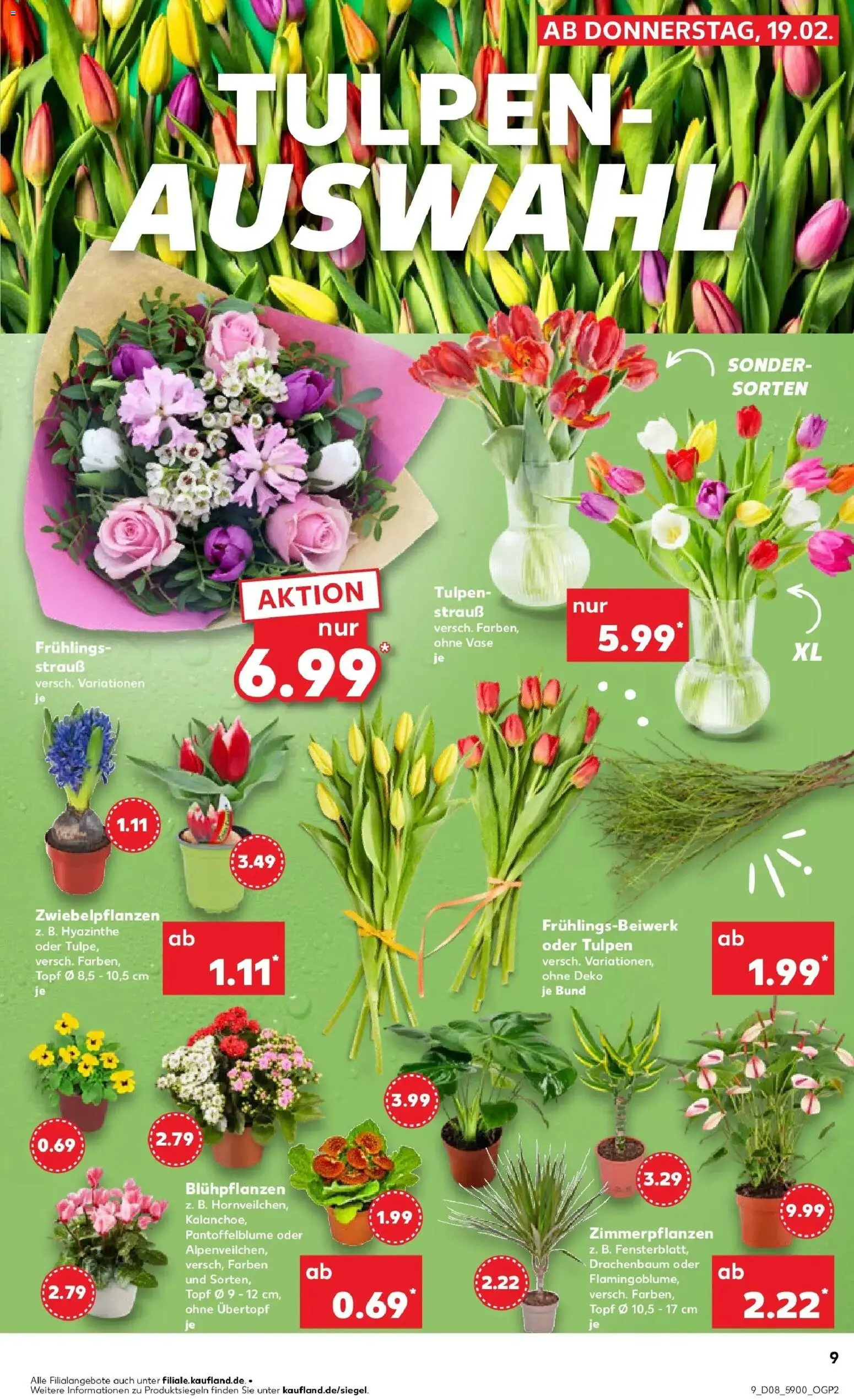 Kaufland prospekt Dresden	 – gültig ab 22.02.2026 | Seite: 9 | Produkte: Vase