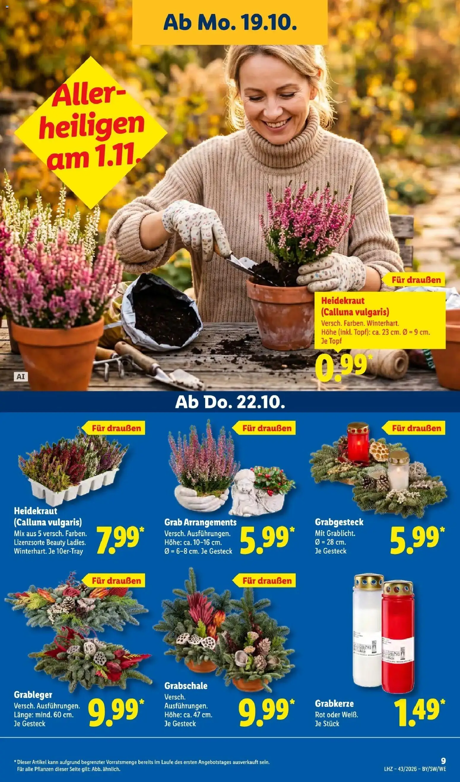 Lidl Prospekt Villingen-schwenningen (ab 19.10.2026) zum Blättern » Angebote | Seite: 17