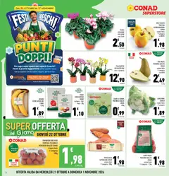Anteprima del volantino PHALENOPSIS MIX MULTIFLORA vaso in ceramica, PHALENOPSIS MIX MULTIFLORA vaso in ceramica valido a partire dal 21/10/2026 | Pagina: 14 | Prodotti: Mele, Cocktail, Patate dolci, Cavolfiore