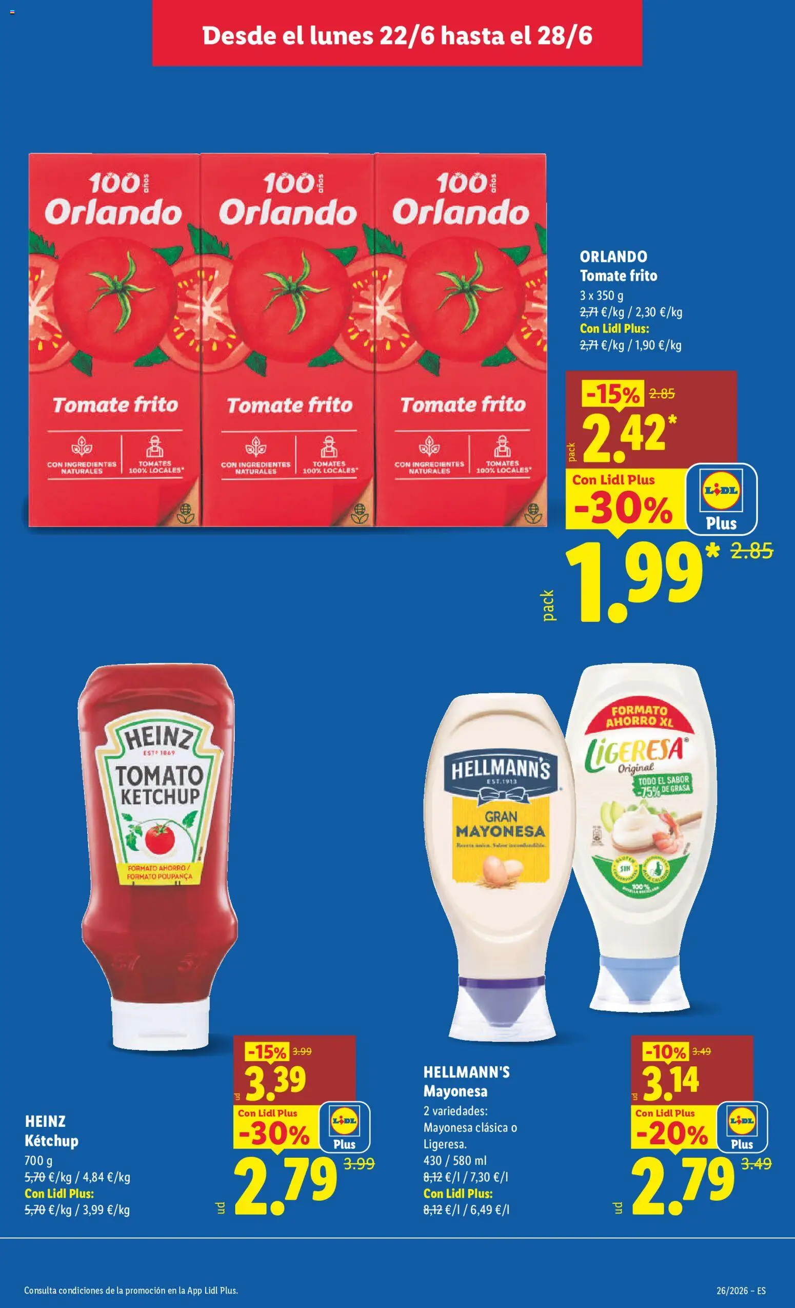 Lidl folleto │ válido desde el 22.06.2026 | Página: 9 | Productos: Κρεμάστρα, Tomates, Οθόνη προβολής