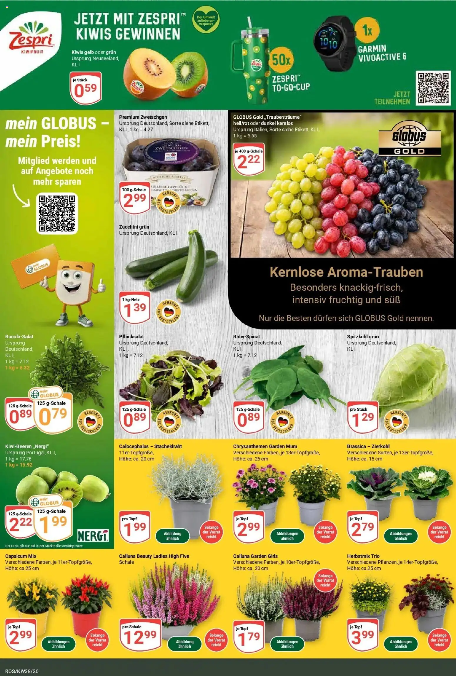 Globus Prospekt Lambrechtshagen (ab 14.09.2026) » Angebote online | Seite: 6 | Produkte: Zwetschgen, Zucchini