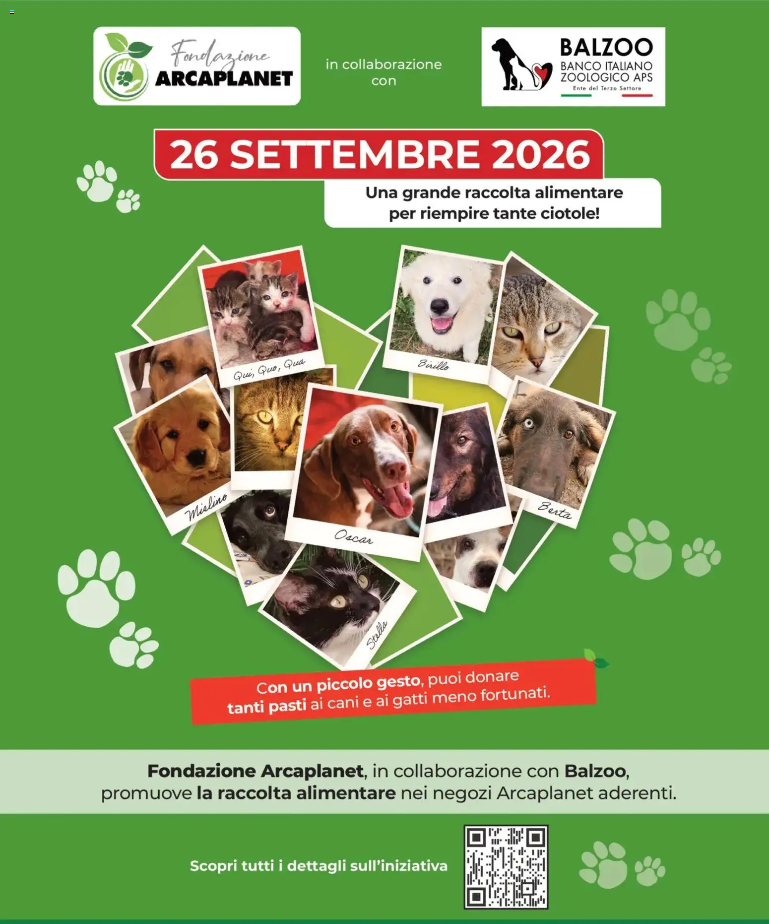 Volantino Arcaplanet del 17/09/2026 | Pagina: 31