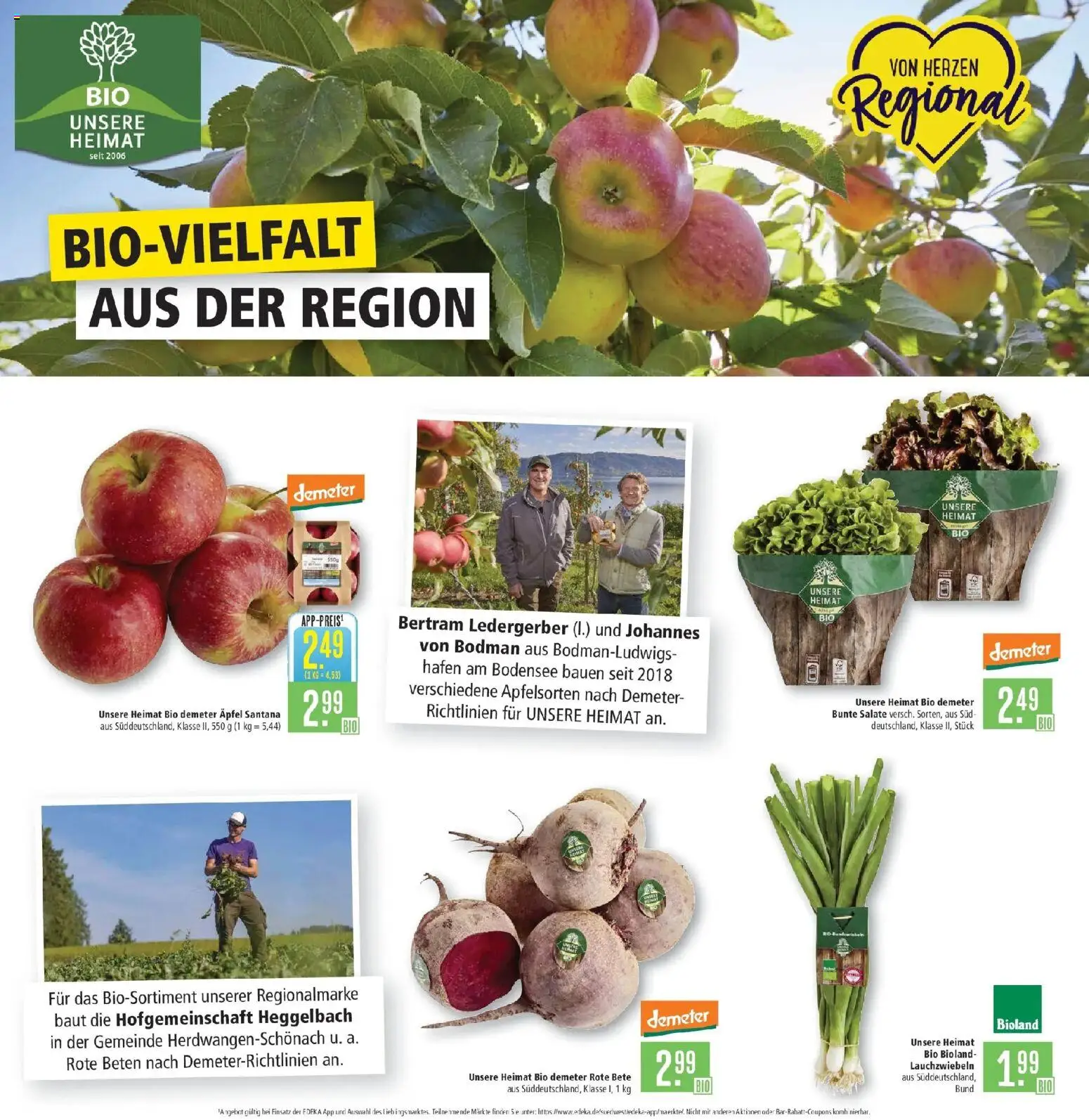 Marktkauf Prospekt Kirchheim (ab 14.09.2026) » Angebote online | Seite: 6 | Produkte: Äpfel