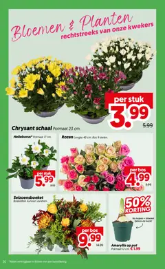 Dekamarkt folder - Voorbeeld van een folder van Dekamarkt, geldig van 27-10-2026 | Pagina: 20 | Producten: Pot, Schaal, Bloemen