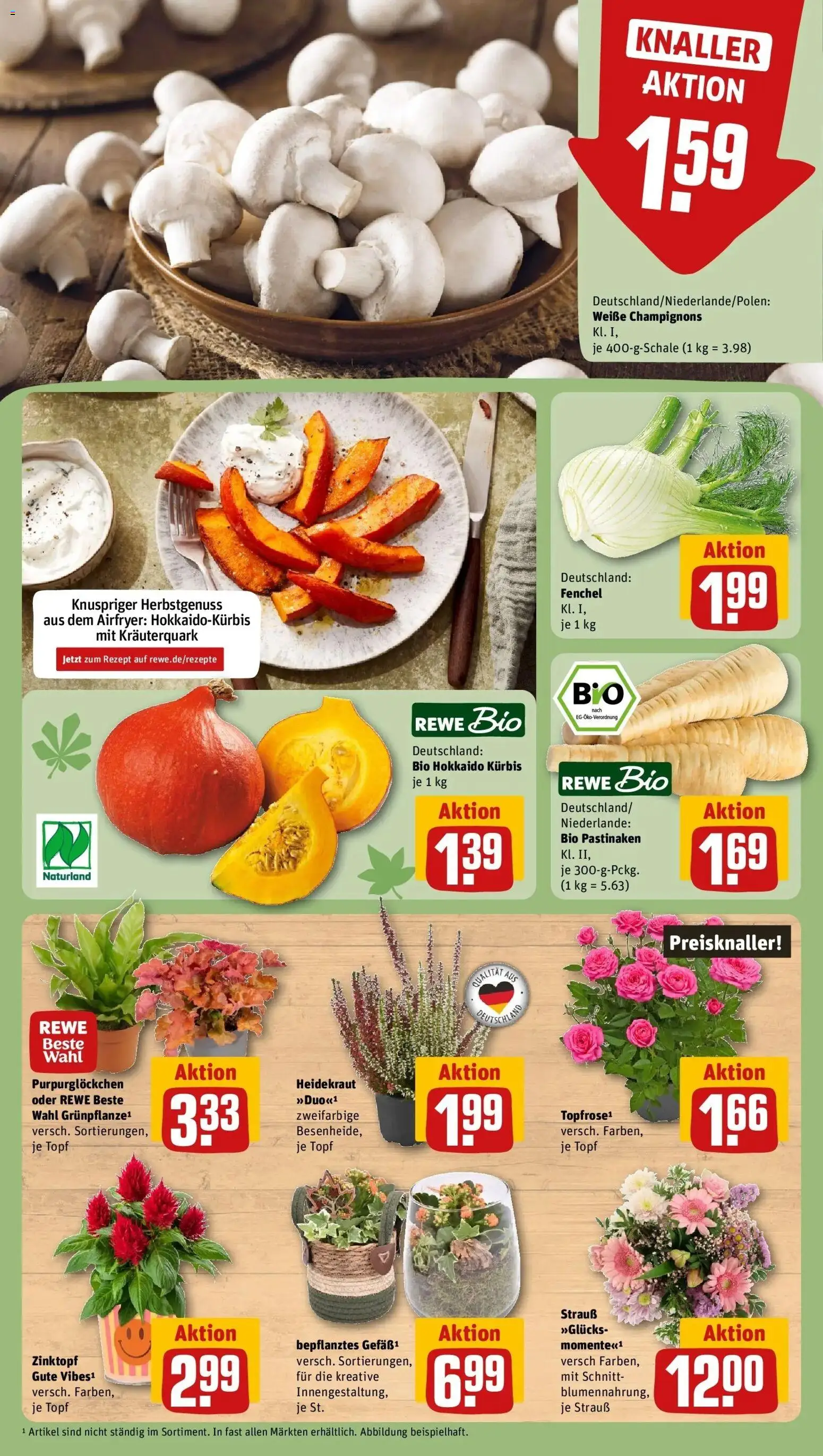 REWE Prospekt ab 28.09.2026 zum Blättern » Angebote | Seite: 13 | Produkte: Champignons, Kürbis