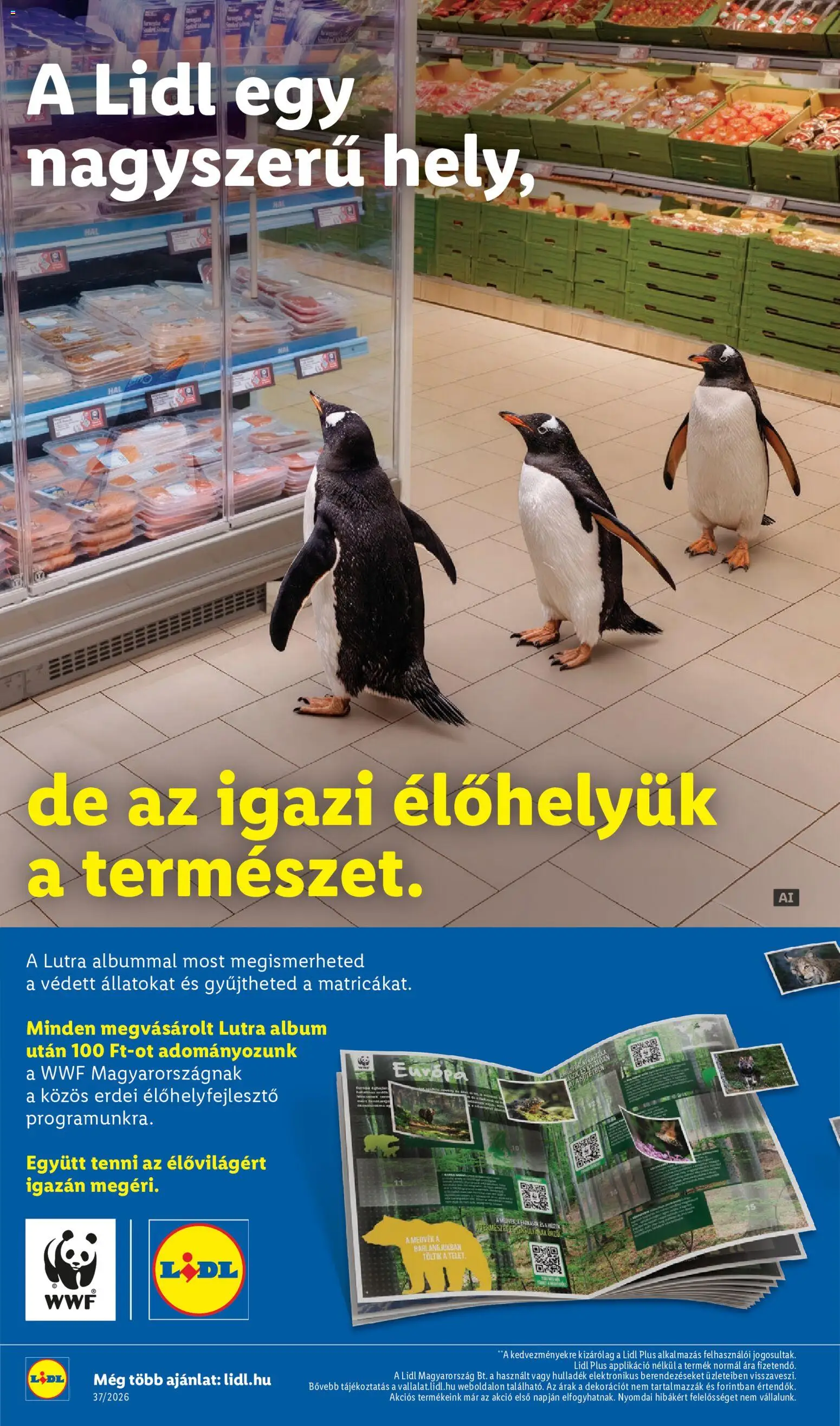 Lidl akciós ujság - amely érvényes a következő dátumtól: 2026.09.10. | Oldal: 2 | Termékek: Hal