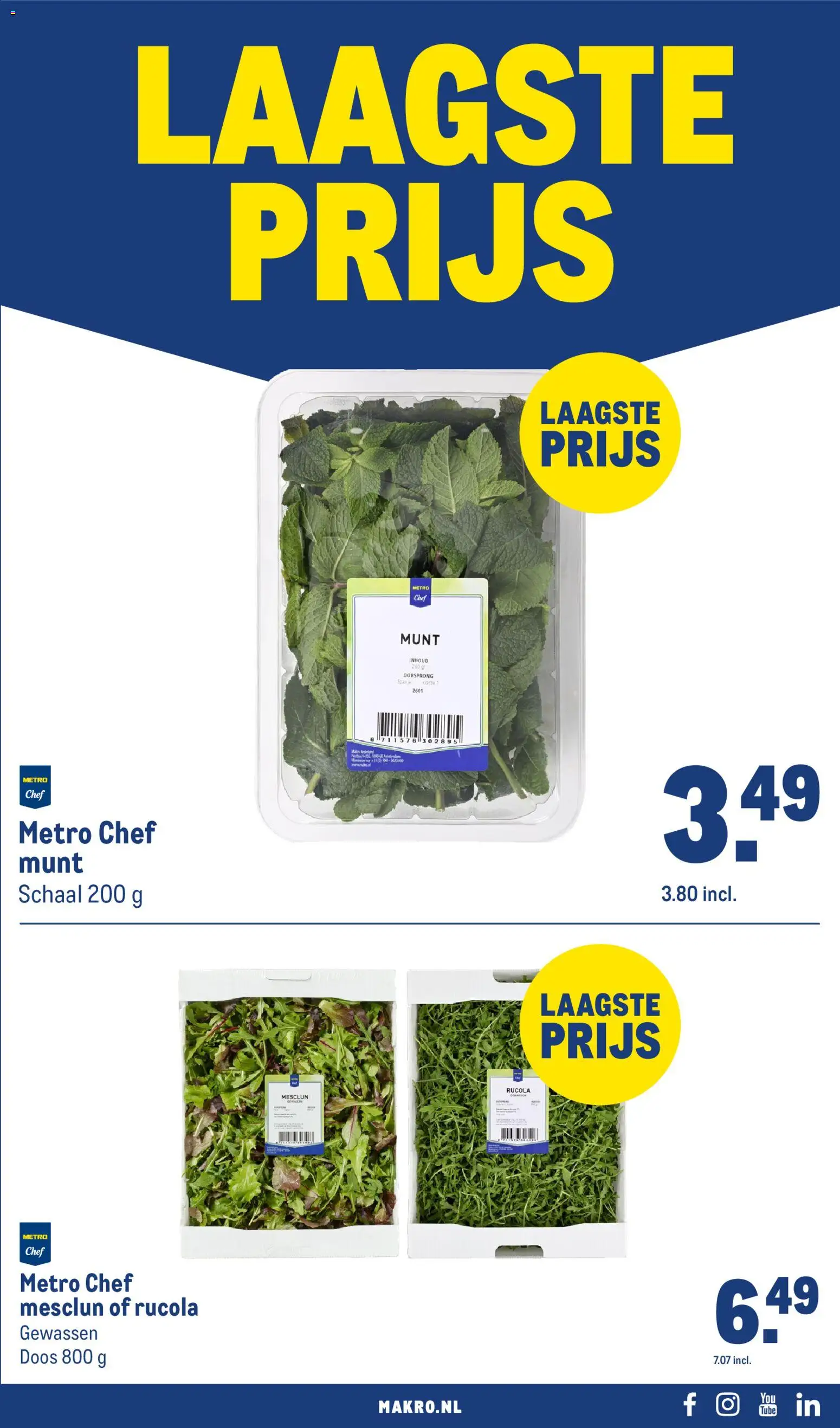 {H1} | Pagina: 31 | Producten: Munt, Rucola, Schaal