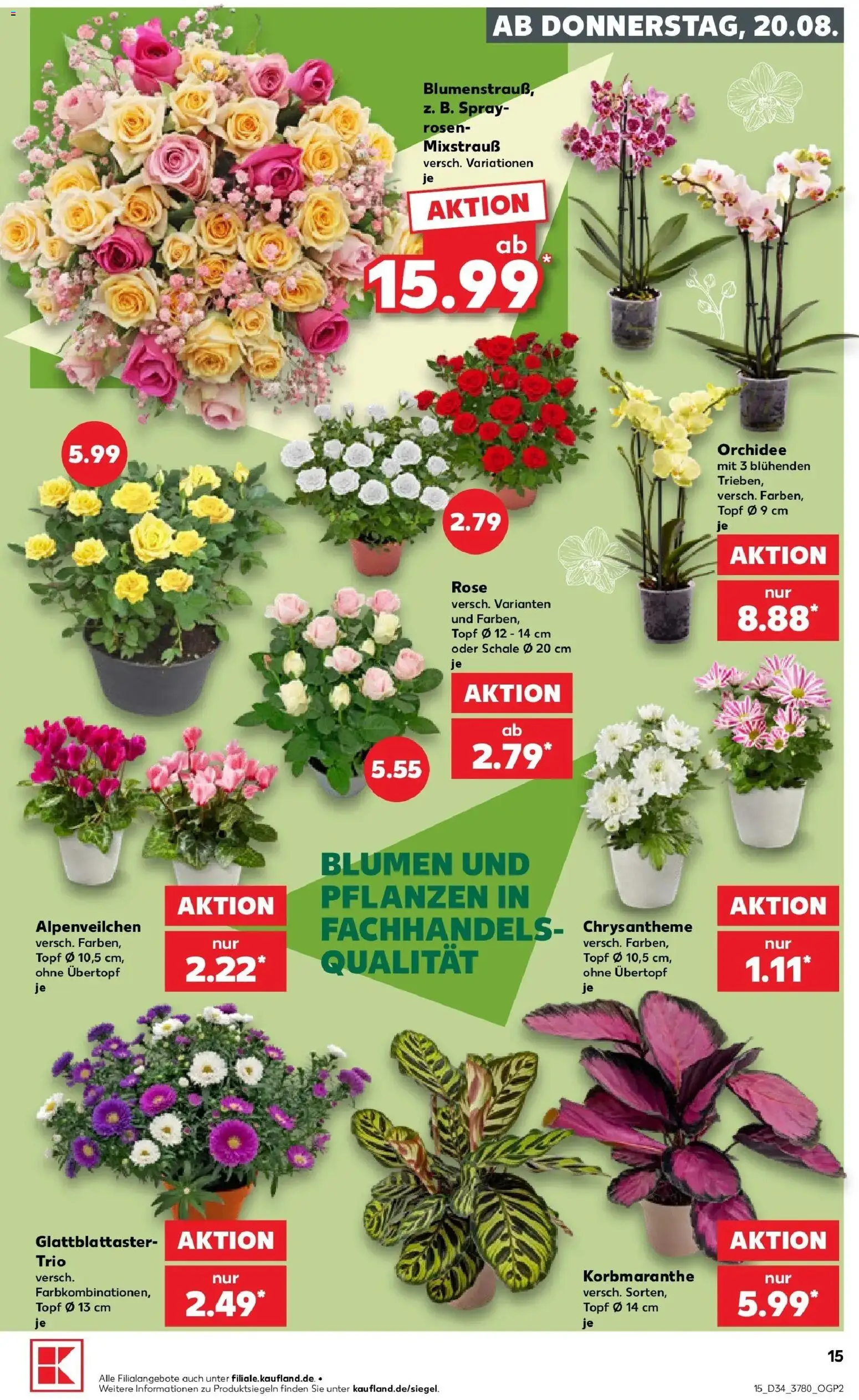 Prospekt Kaufland ab 20.08.2026 » Angebote Online zum Blättern | Seite: 15 | Produkte: Orchidee, Blumen