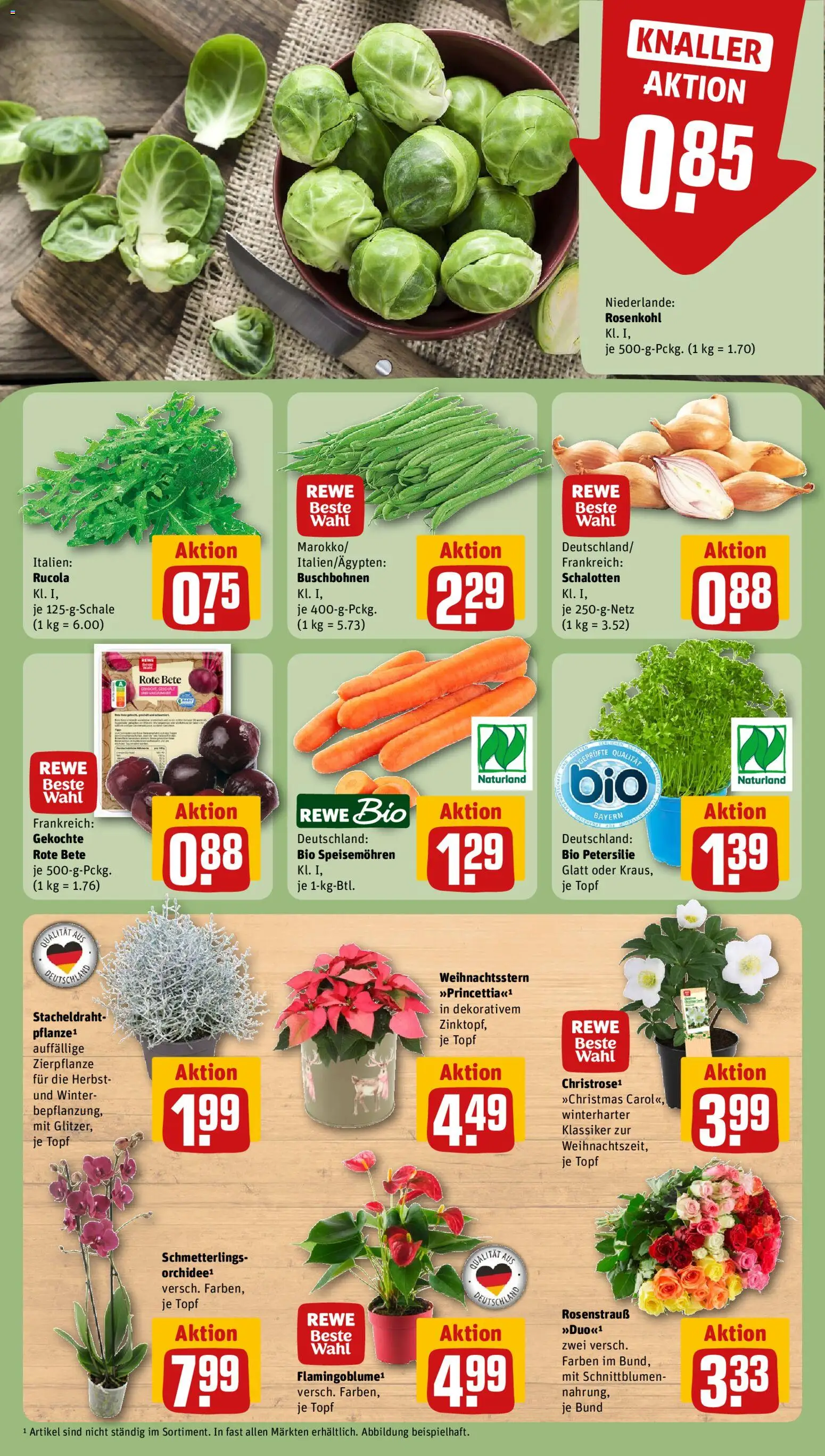 {H1} | Pagina: 7 | Producten: Rucola, Orchidee