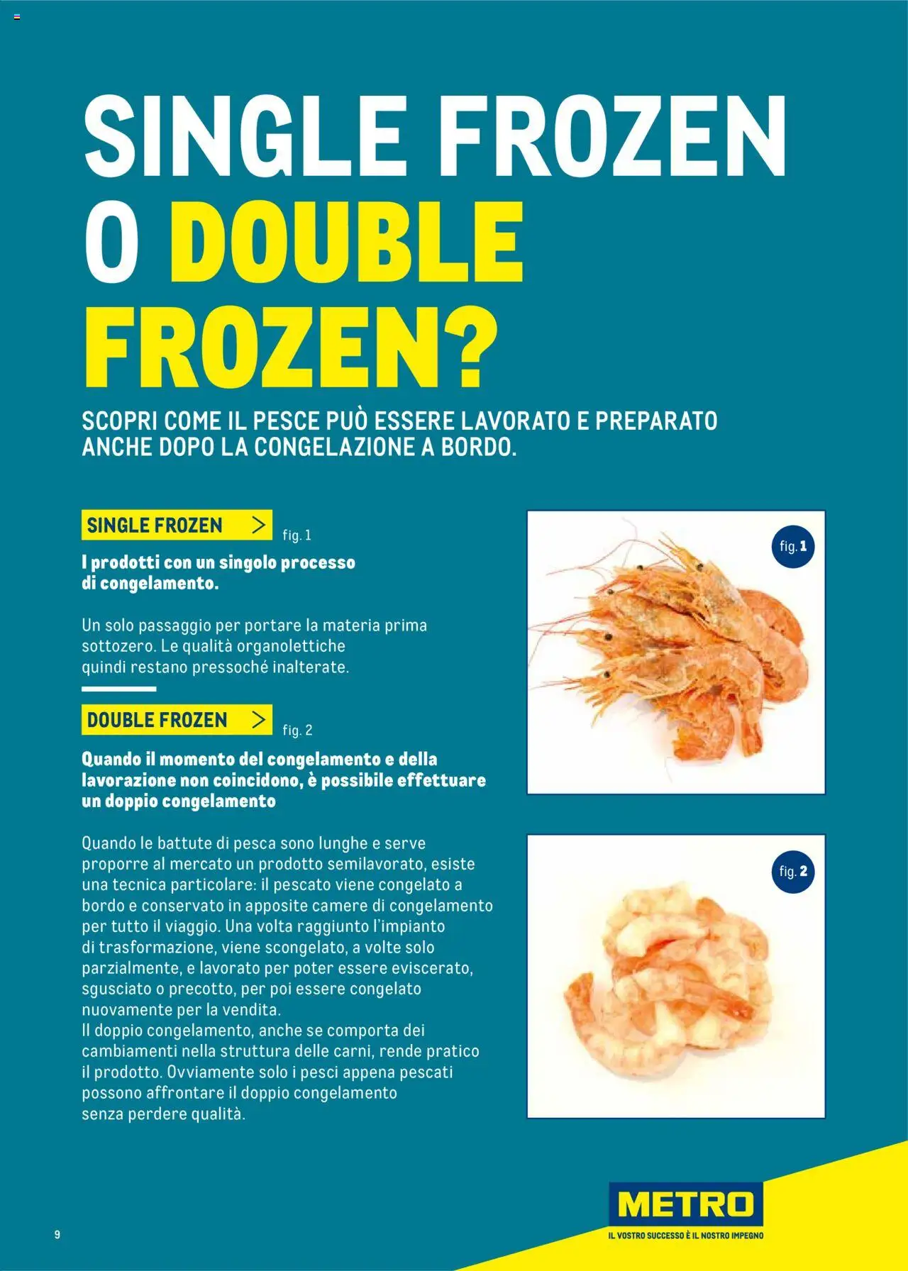 Volantino Metro del 30.06.2025 | Pagina: 9 | Prodotti: Pesce, Il pesce, Pesca