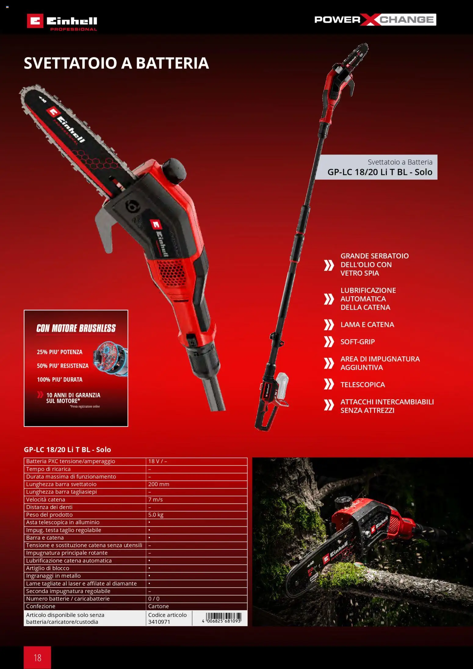Volantino Einhell del 17.03.2026 | Pagina: 20 | Prodotti: Tagliasiepi, Batteria, Batterie, Caricabatterie