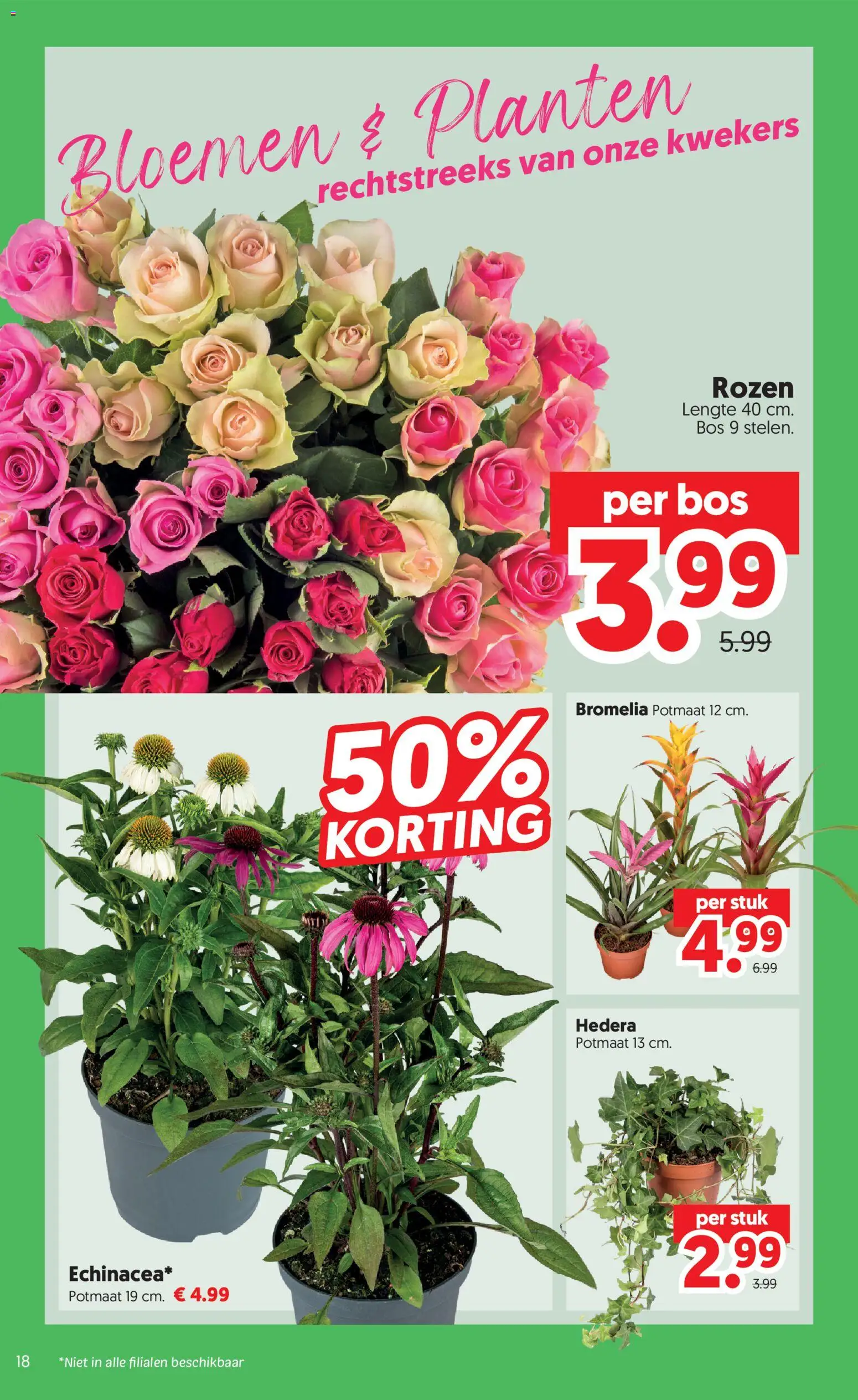 {H1} | Pagina: 18 | Producten: Bloemen