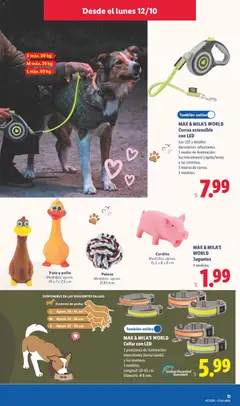 Vista previa Lidl folleto de bazar válido desde el 12/10/2026 | Página: 9 | Productos: Luz LED, Juguetes, Iluminación, Pollo