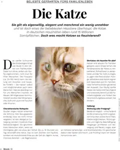 Müller aktionen Magazin ab 15.05.2026 gültig | Seite: 84