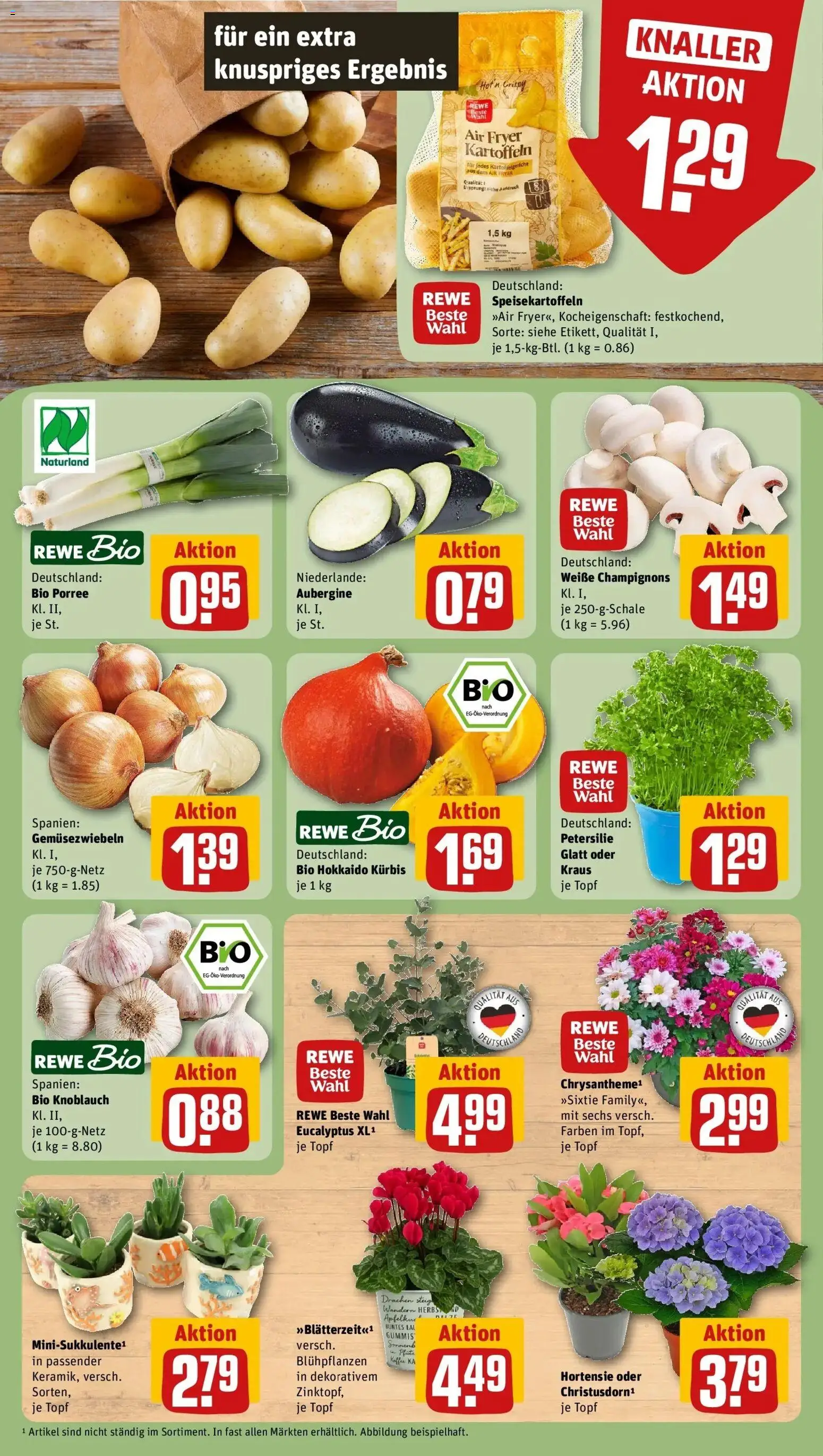 REWE Prospekt ab 24.08.2026 zum Blättern » Angebote | Seite: 7 | Produkte: Kaffee, Kartoffeln, Aubergine, Kürbis