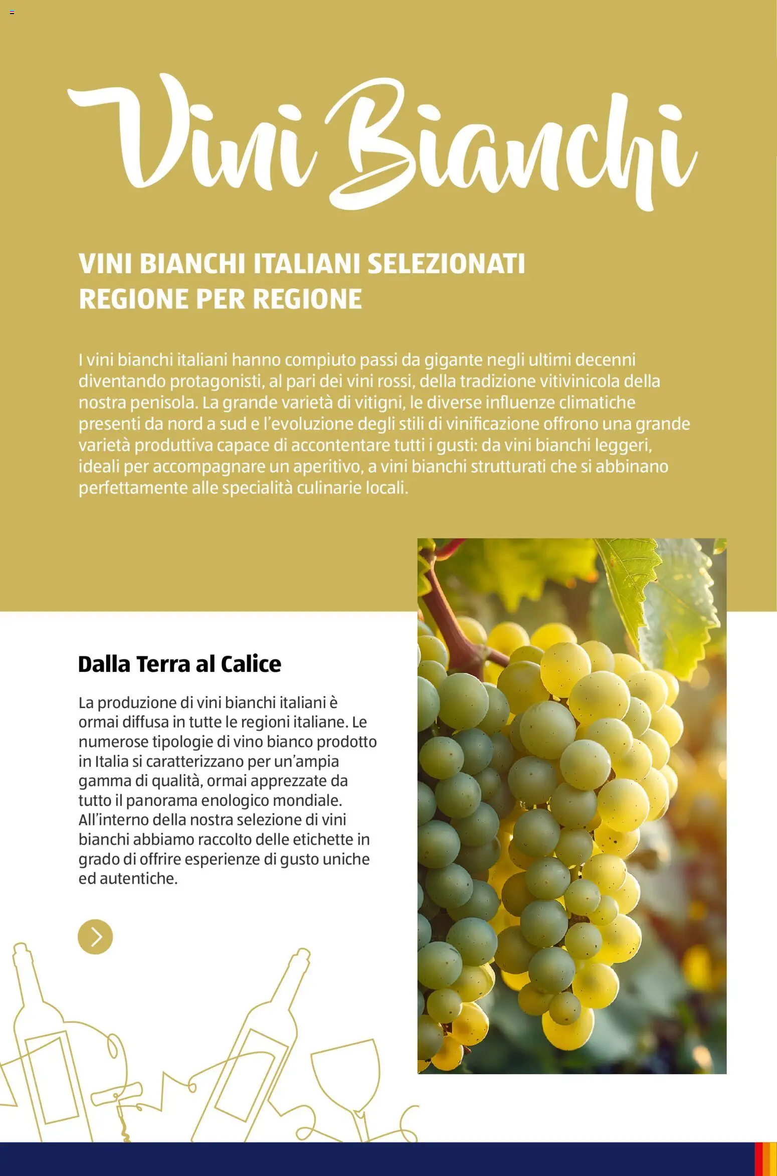 Volantino Aldi del 12/01/2026 | Pagina: 30 | Prodotti: Calice, Vino, Specialità, Vino bianco