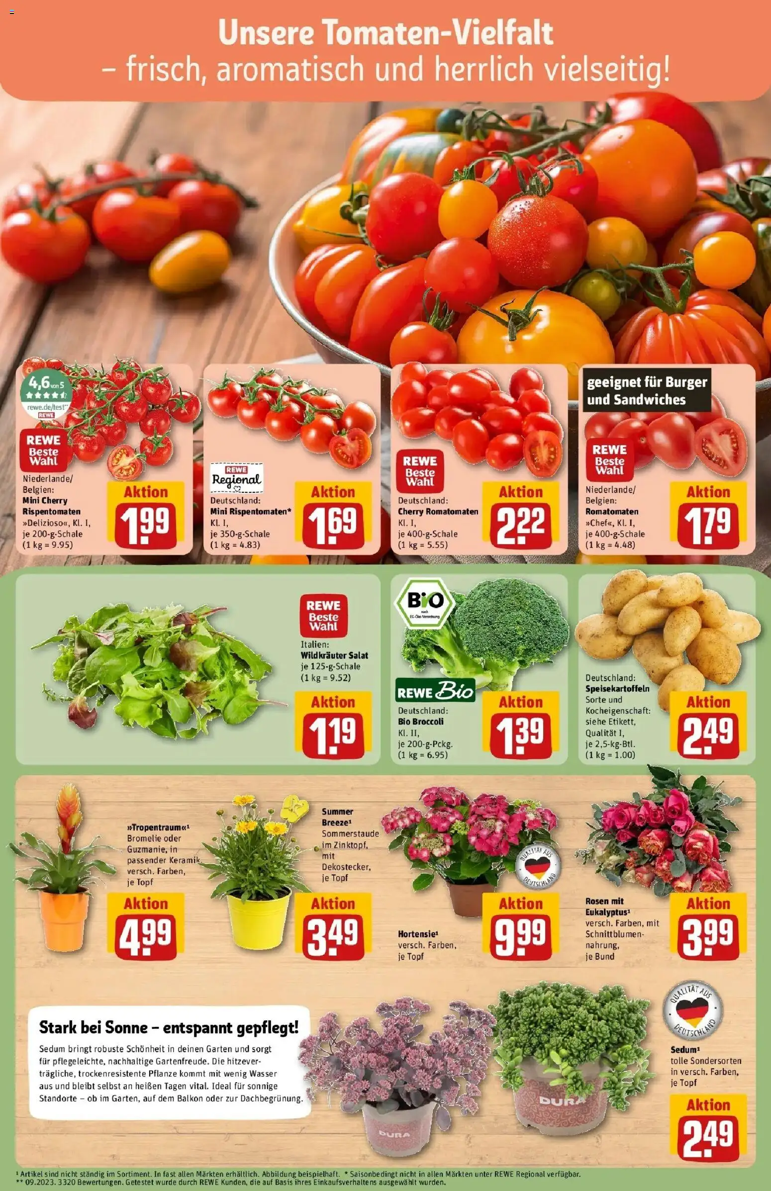 Rewe Prospekt Salzgitter – gültig ab 13.07.2026 | Seite: 7 | Produkte: Burger, Wasser, Salat