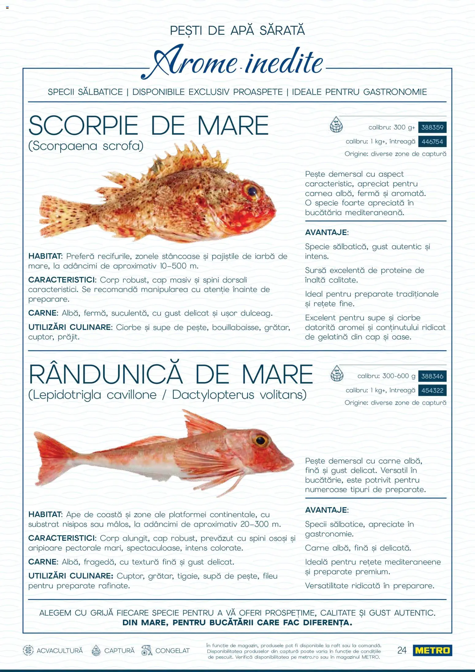 Noul catalog Metro – valabil de la 01.10.2026 | Pagină: 24 | Produse: Proteine, Raft, Pește, Apă