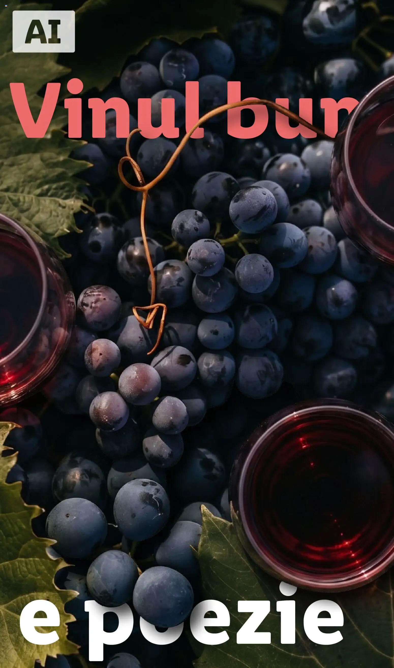 Noul catalog Lidl – valabil de la 28.09.2026 | Pagină: 34