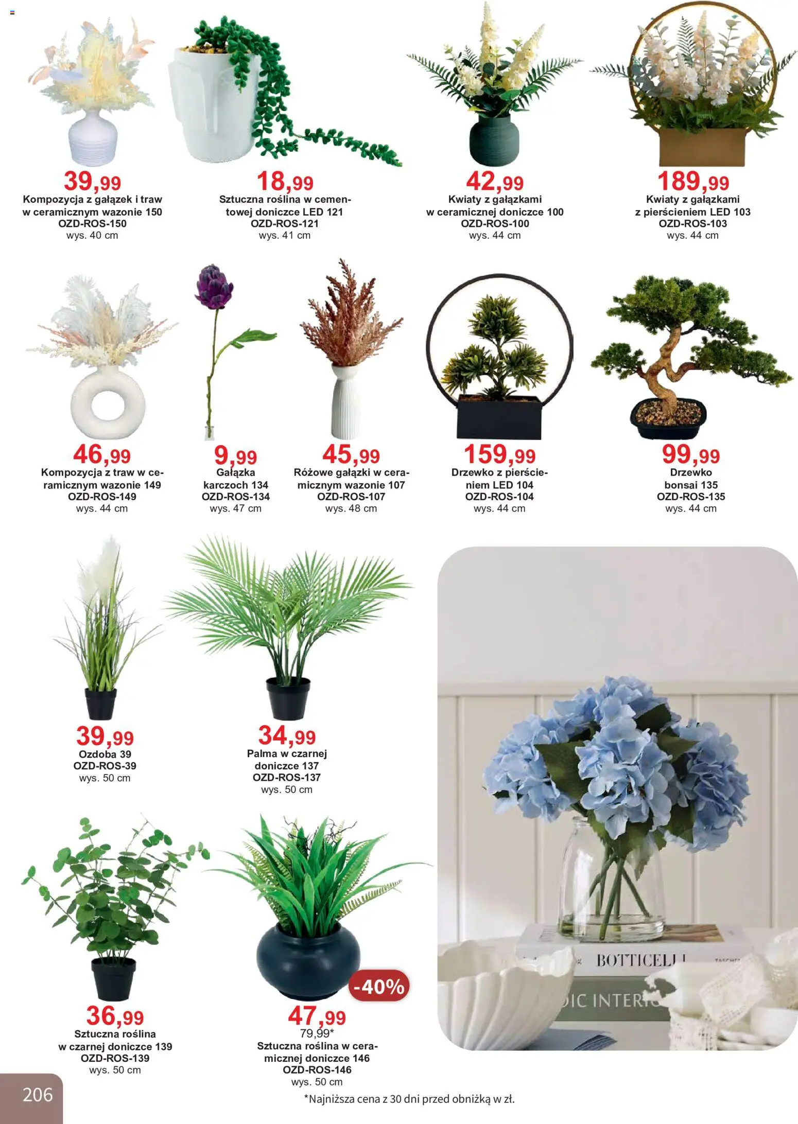Bodzio Katalog od 01.08.2026 | Strona: 206 | Produkty: Kwiaty