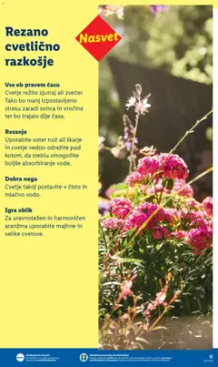 Lidl katalog akcije – veljaven od 20.04.2026 | Stran: 5