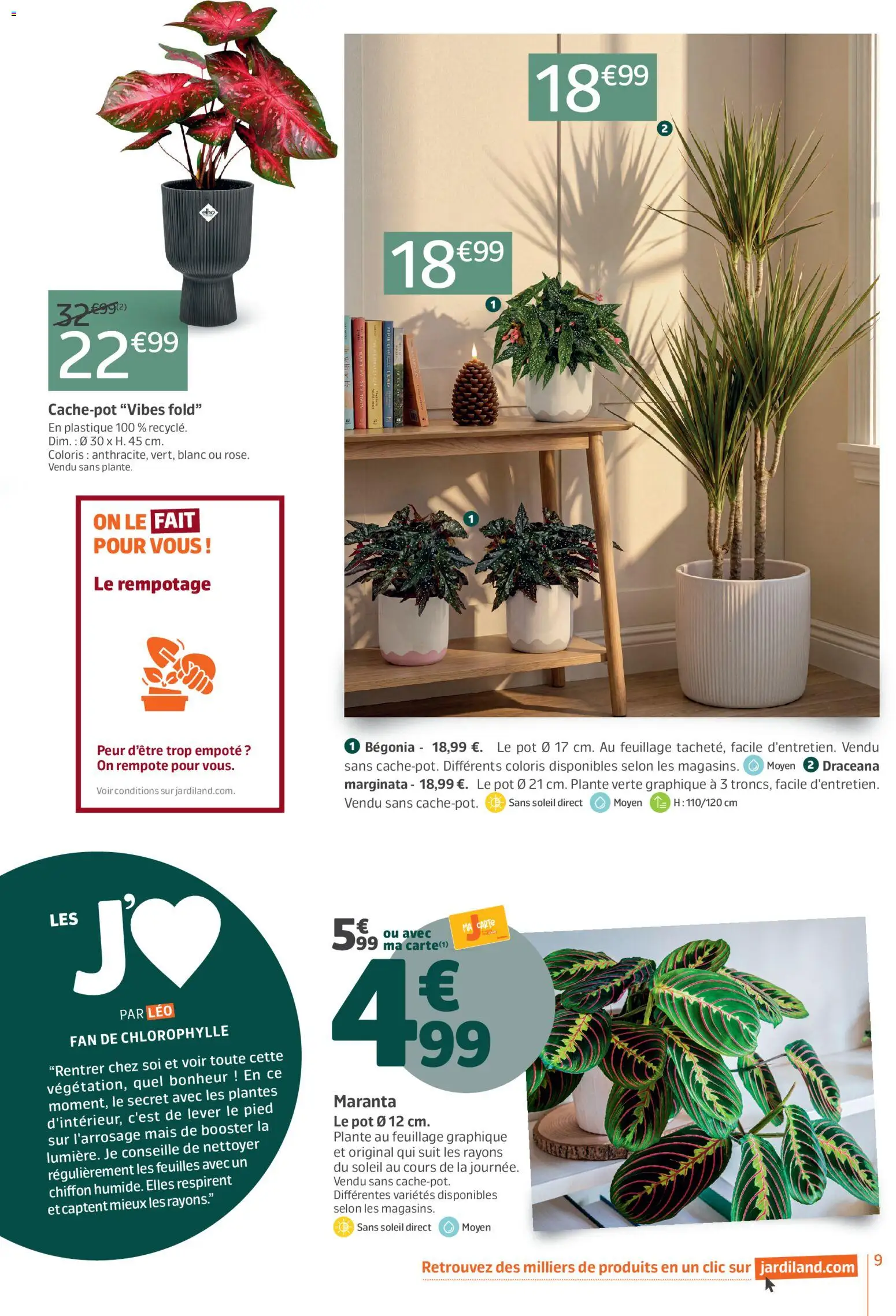 {H1} | Page: 9 | Produits: Plantes, Mais, Plante verte, Bégonia