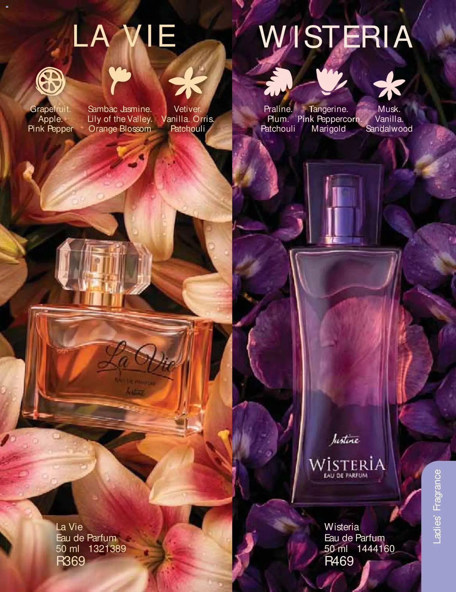 New Justine catalogue – valid from 01/09/2026 | Page: 56
