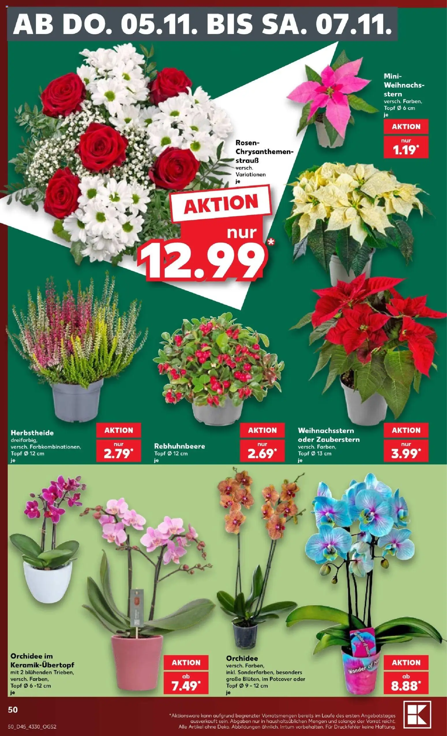 Kaufland Prospekt – gültig ab 02.11.2026 | Seite: 50 | Produkte: Orchidee