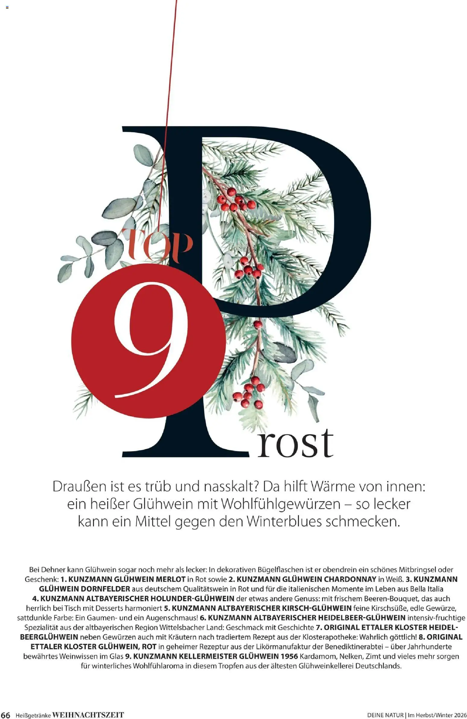 Dehner Prospekt – gültig ab 09.10.2026 | Seite: 66