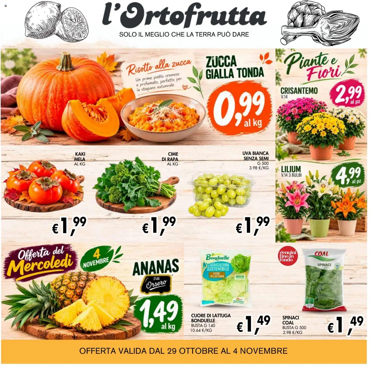 Volantino Coal del 22/10/2026 | Pagina: 5 | Prodotti: Uva, Piatto, Lattuga, Terra