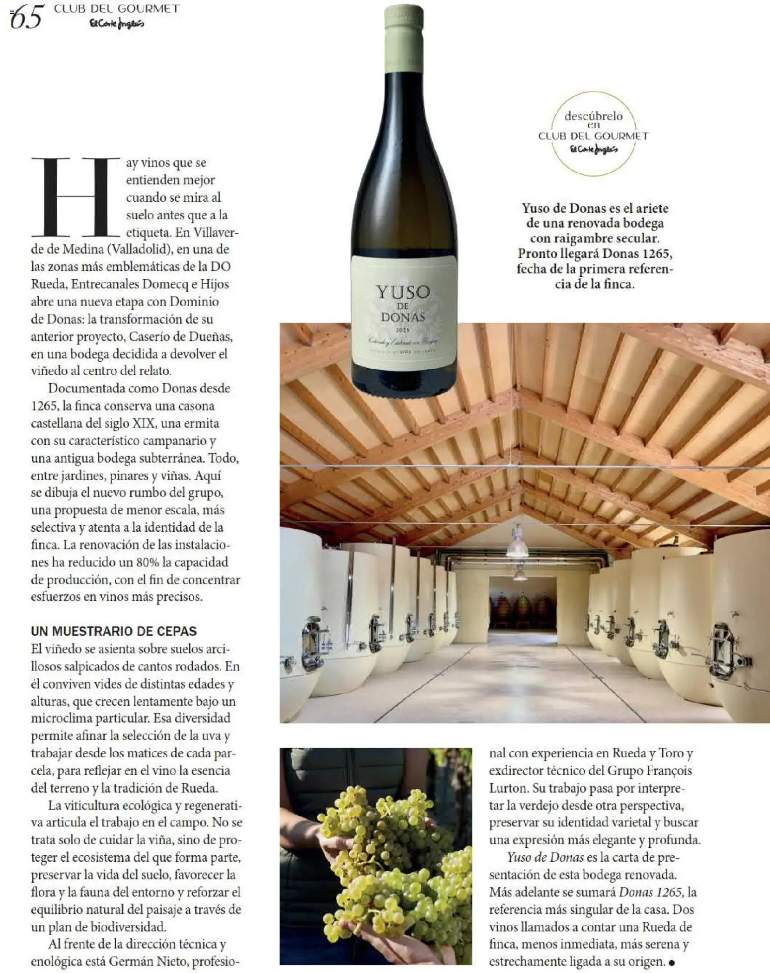 El Corte Inglés Gourmet Magazine │ válido desde el 01/10/2026 | Página: 65 | Productos: Vino