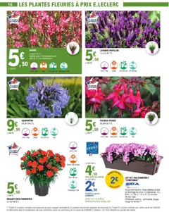 E.Leclerc - Prévisualisation de AGAPANTHE, Le pot de 2 L. valide à partir de 21.04.2026 | Page: 16 | Produits: Lavande, Plateau, Plantes