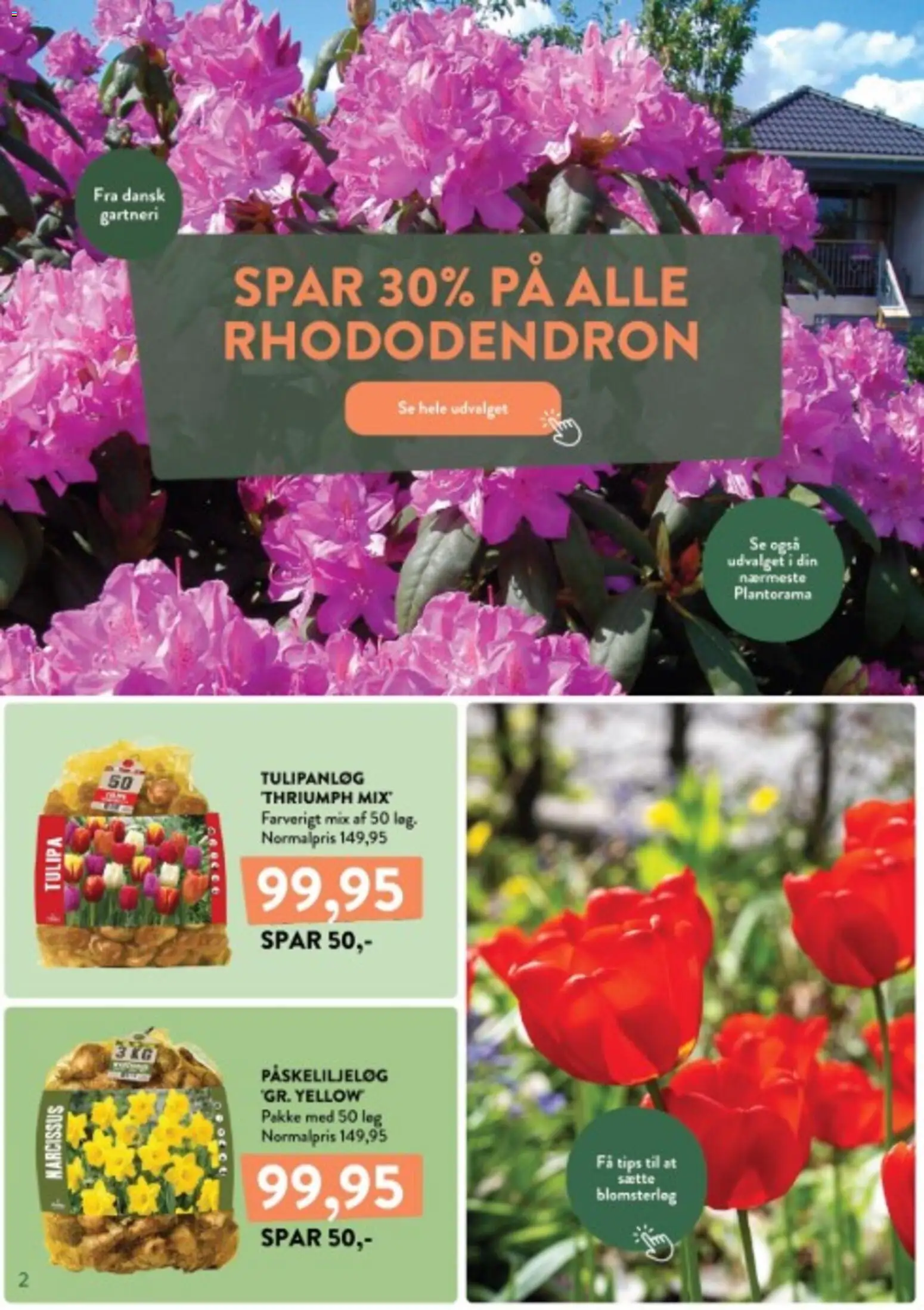 Plantorama tilbudsavis – gyldig fra 12/10/2026 | Side: 2 | Produkter: Løg