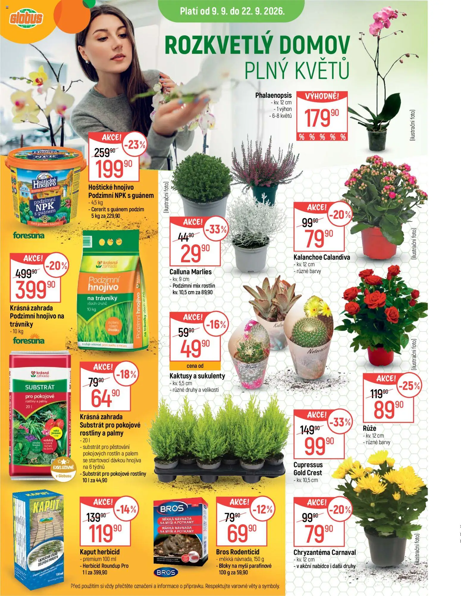Globus leták od 09.09.2026 | Strana: 11 | Produkty: Kalanchoe, Globus, Hnojivo, Barvy