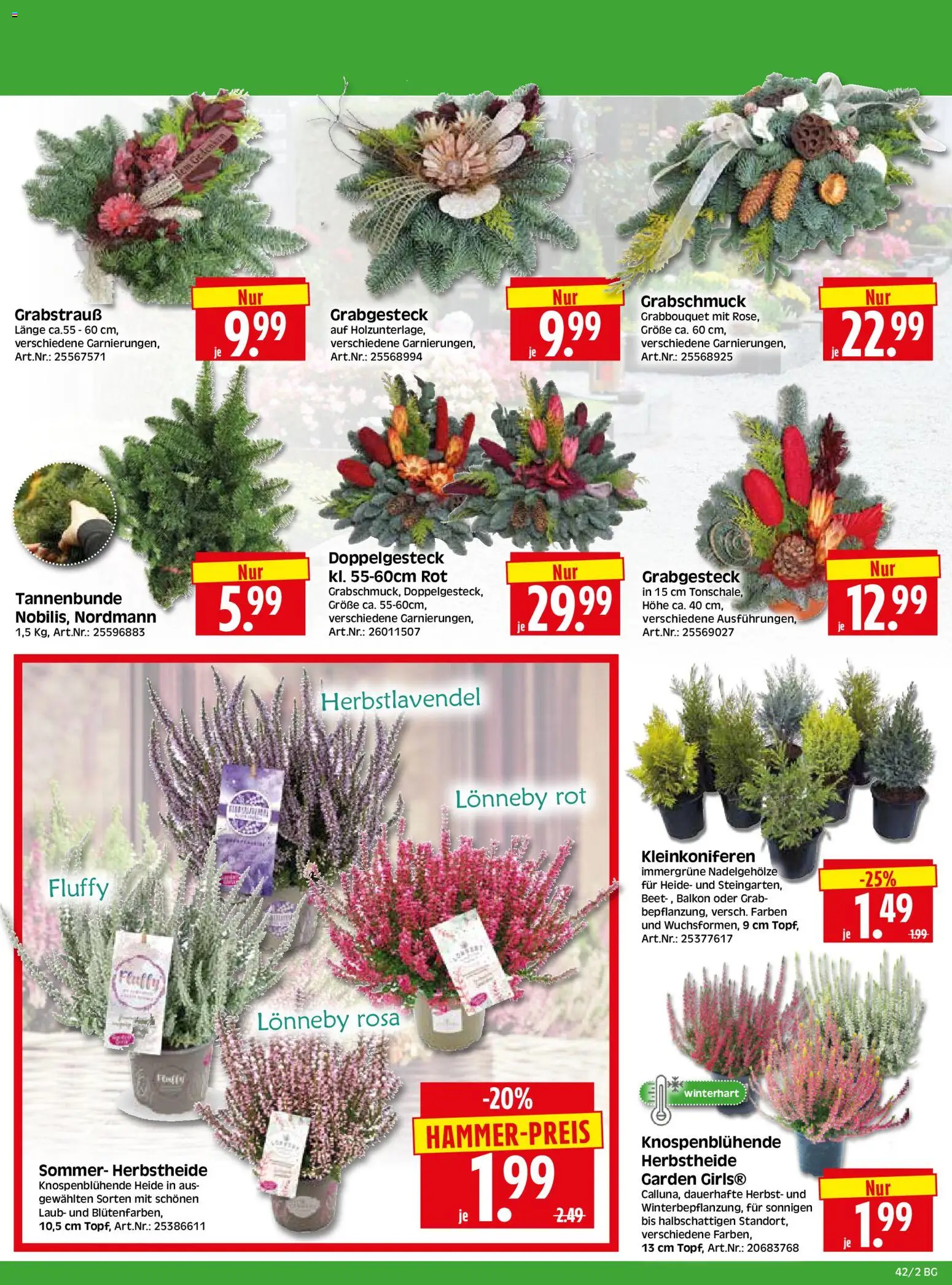 HERKULES Bau & Garten – gültig ab 12.10.2026 | Seite: 2