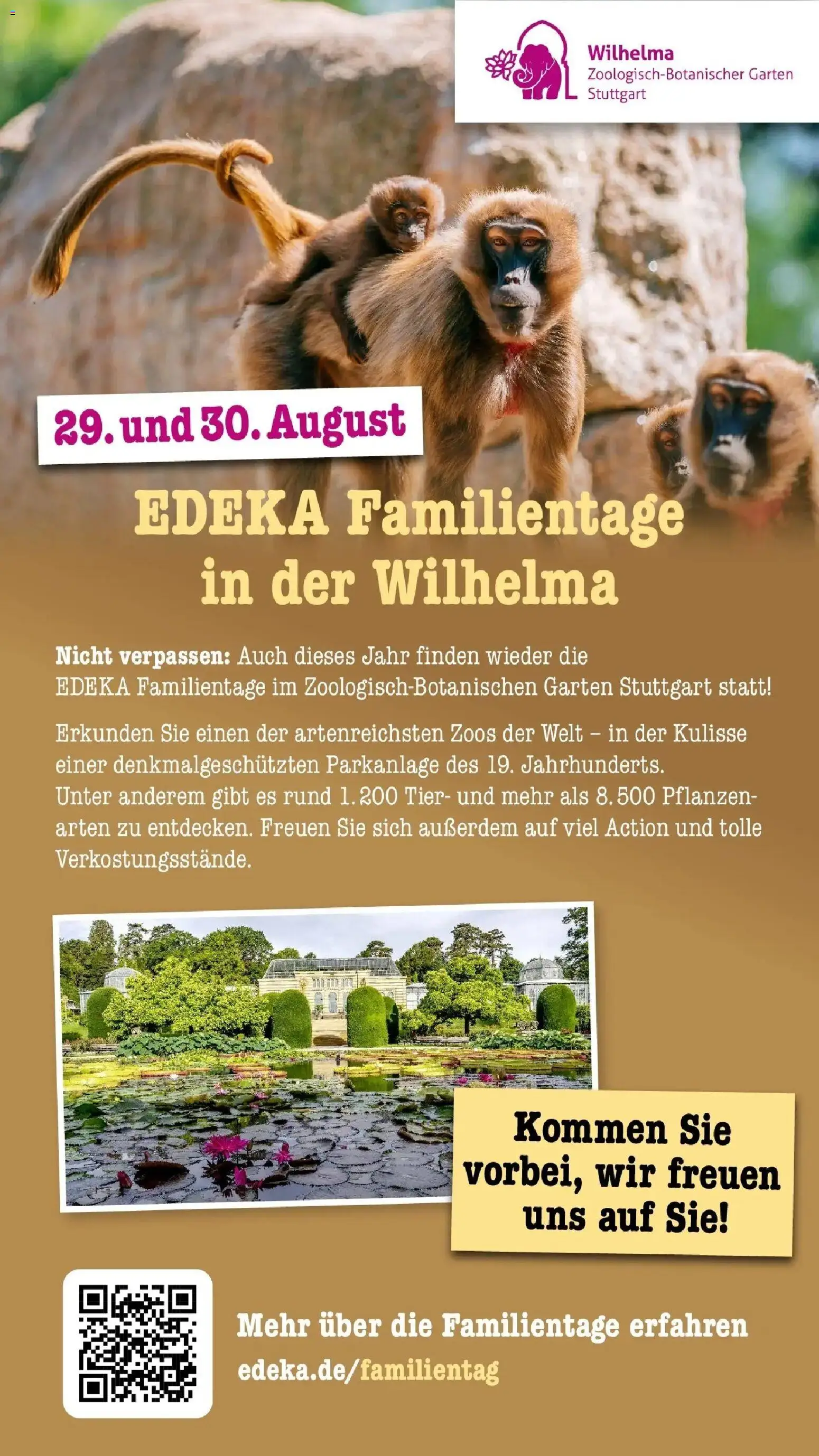 Edeka Prospekt Mainz-Weisenau (ab 10.08.2026) » Angebote Online | Seite: 72