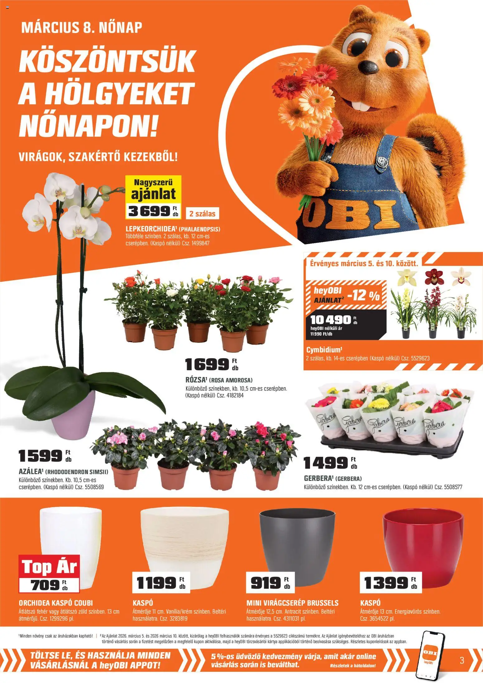 OBI akciós ujság - amely érvényes a következő dátumtól: 02.03.2026 | Oldal: 3 | Termékek: Orchidea, Virágcserép, Rhododendron, Kaspó