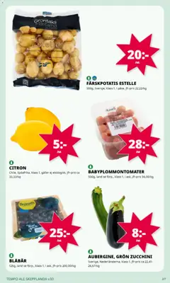 Tempo erbjudanden - Förhandsvisning av reklamblad från butik Tempo aktuell från 20/07/2026 | Sida: 4 | Produkter: Galler, Citron, Blåbär, Zucchini