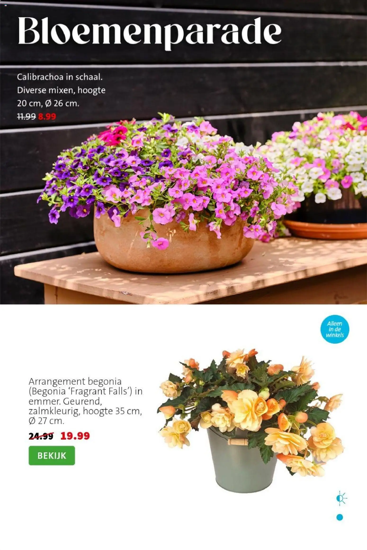 {H1} | Pagina: 4