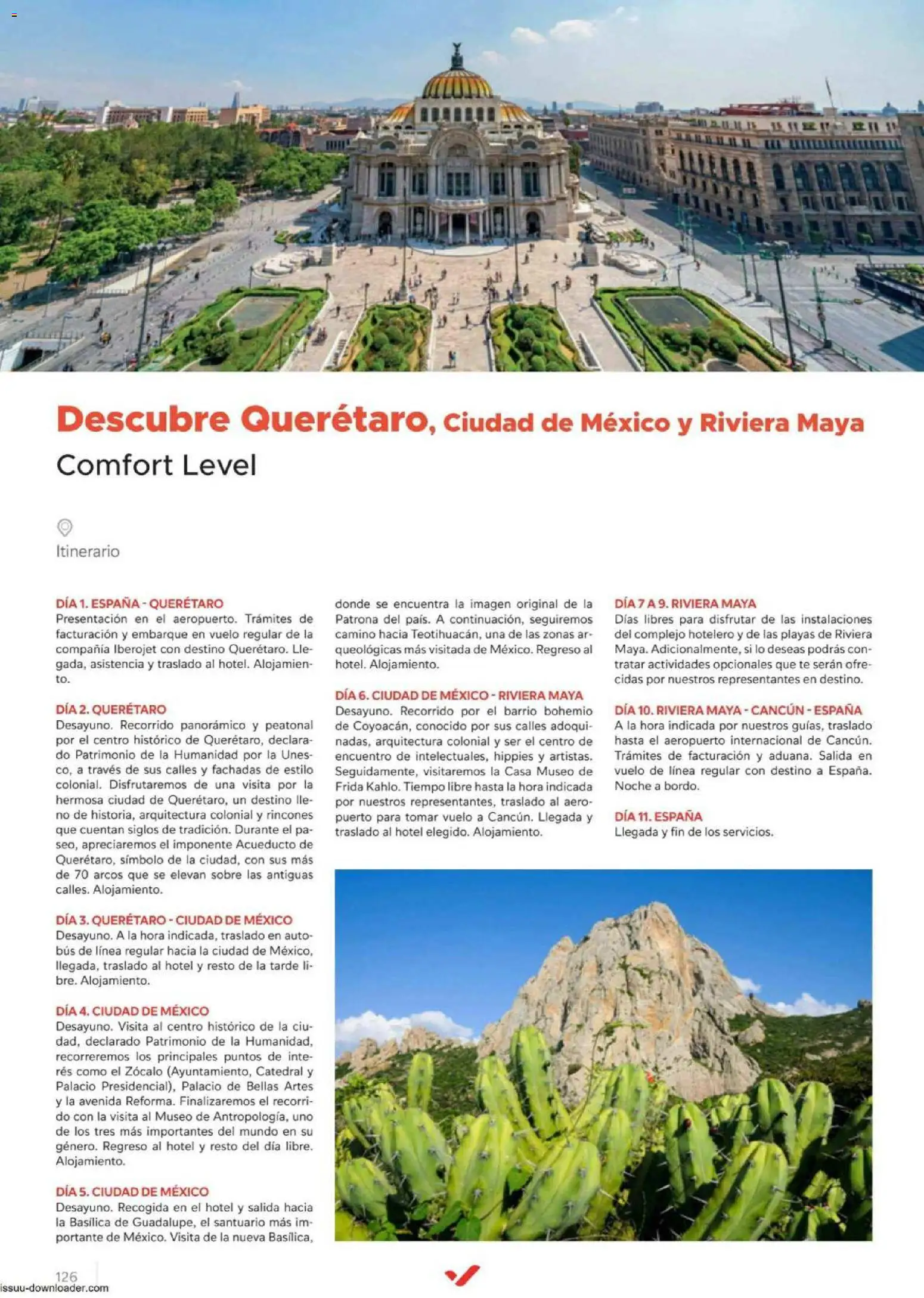 Halcón Viajes Comfort level 2026 │ válido desde el 04.06.2026 | Página: 126 | Productos: Té